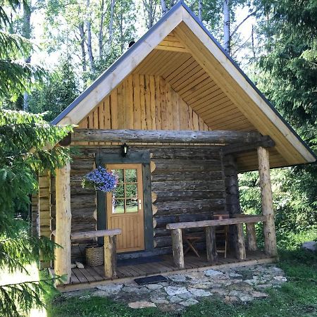 Haaviku Nature Cottage Tepelvalja Zewnętrze zdjęcie