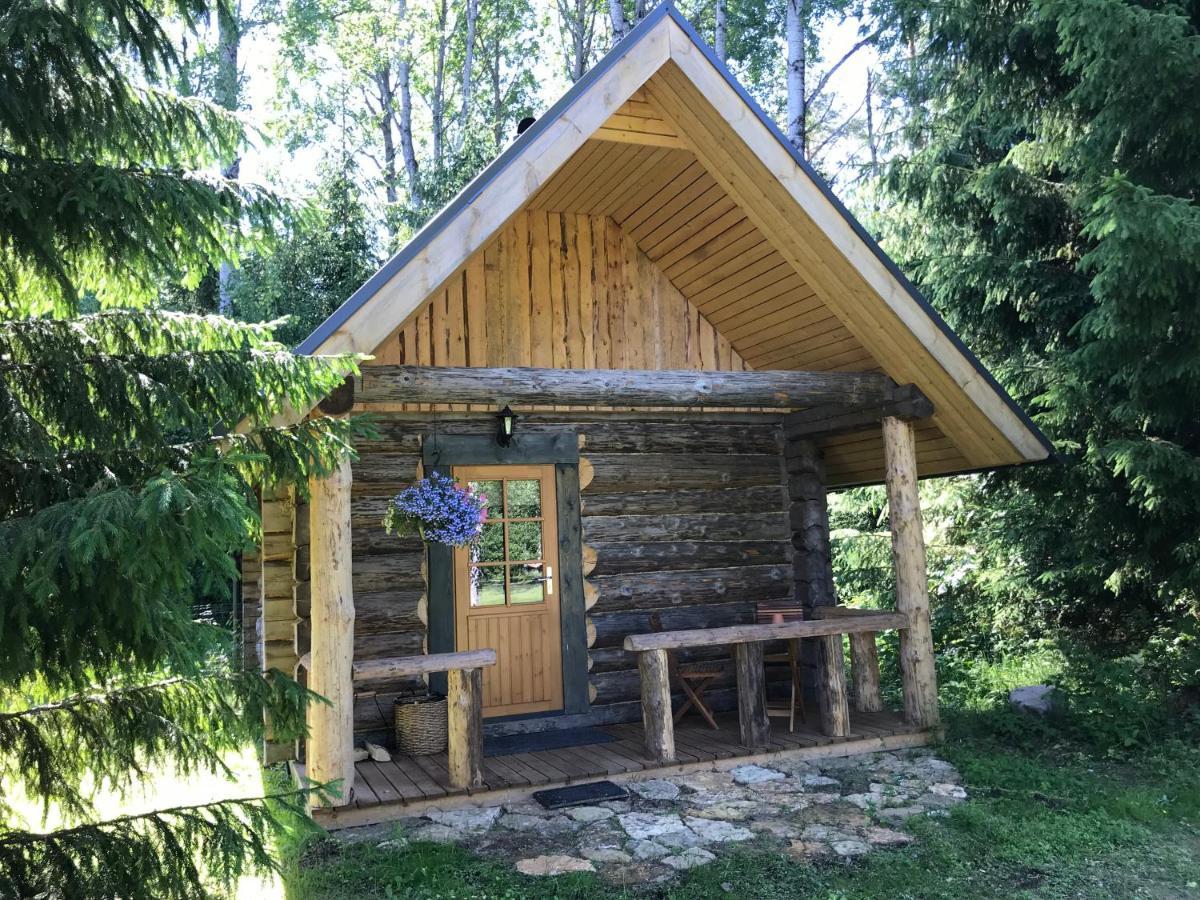 Haaviku Nature Cottage Tepelvalja Zewnętrze zdjęcie