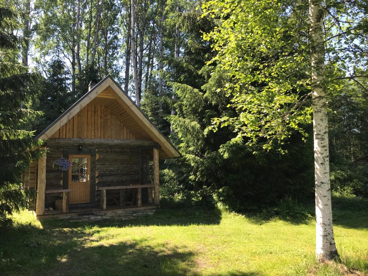 Haaviku Nature Cottage Tepelvalja Zewnętrze zdjęcie