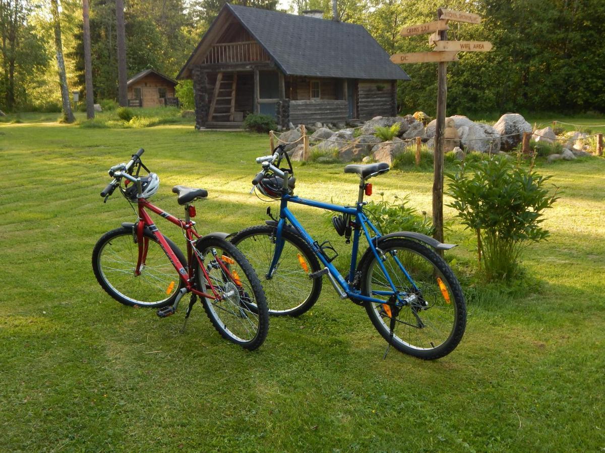 Haaviku Nature Cottage Tepelvalja Zewnętrze zdjęcie