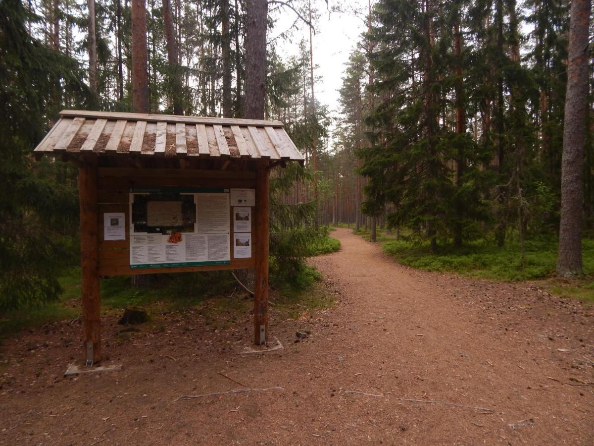 Haaviku Nature Cottage Tepelvalja Zewnętrze zdjęcie