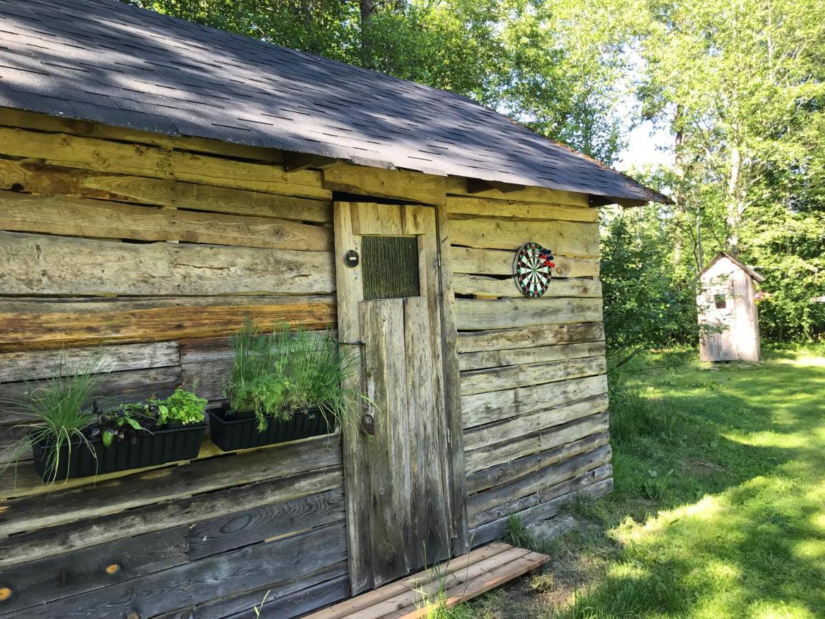 Haaviku Nature Cottage Tepelvalja Zewnętrze zdjęcie