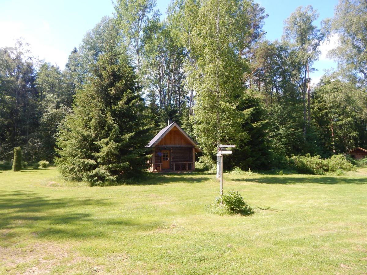 Haaviku Nature Cottage Tepelvalja Zewnętrze zdjęcie