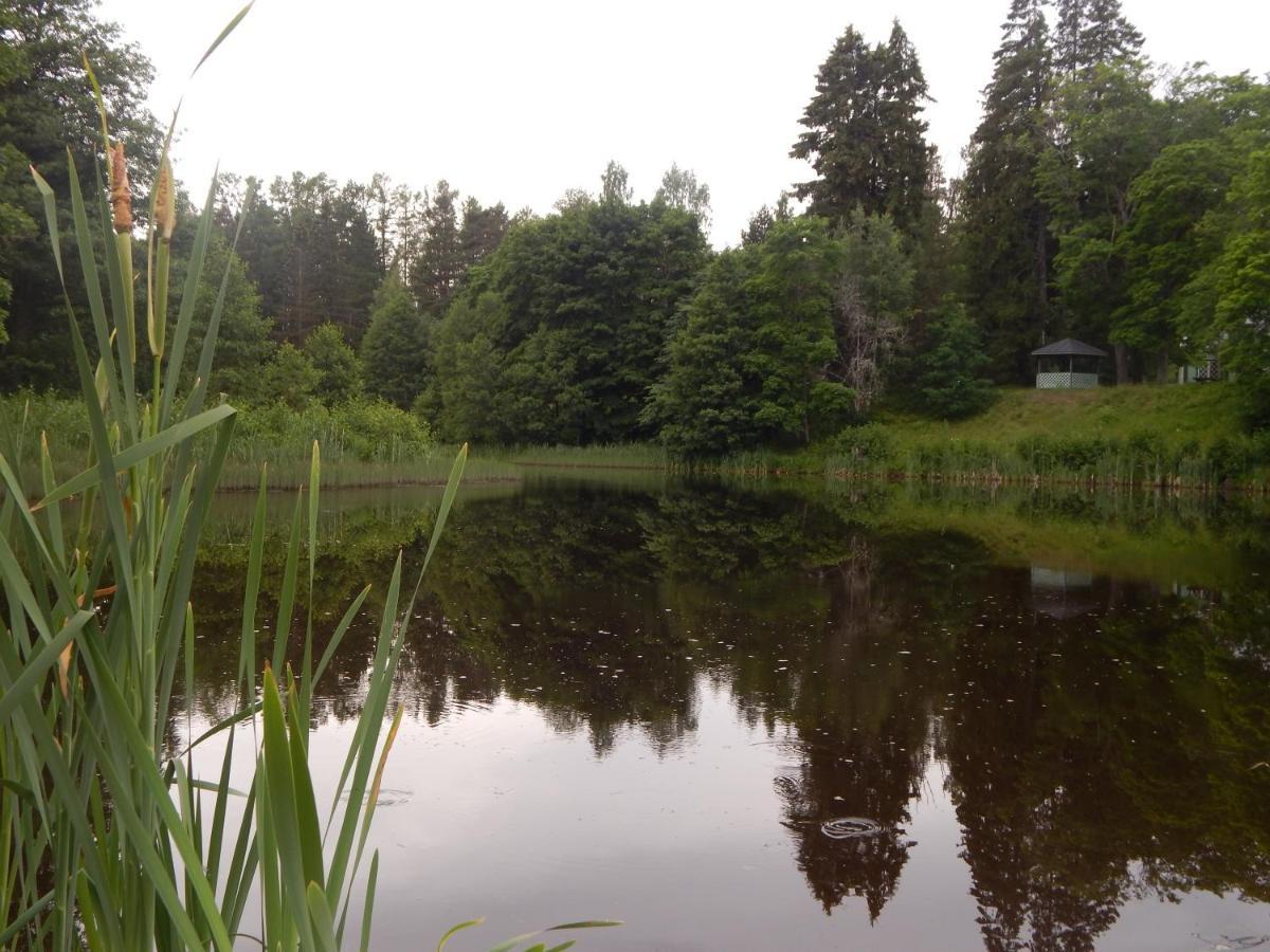 Haaviku Nature Cottage Tepelvalja Zewnętrze zdjęcie