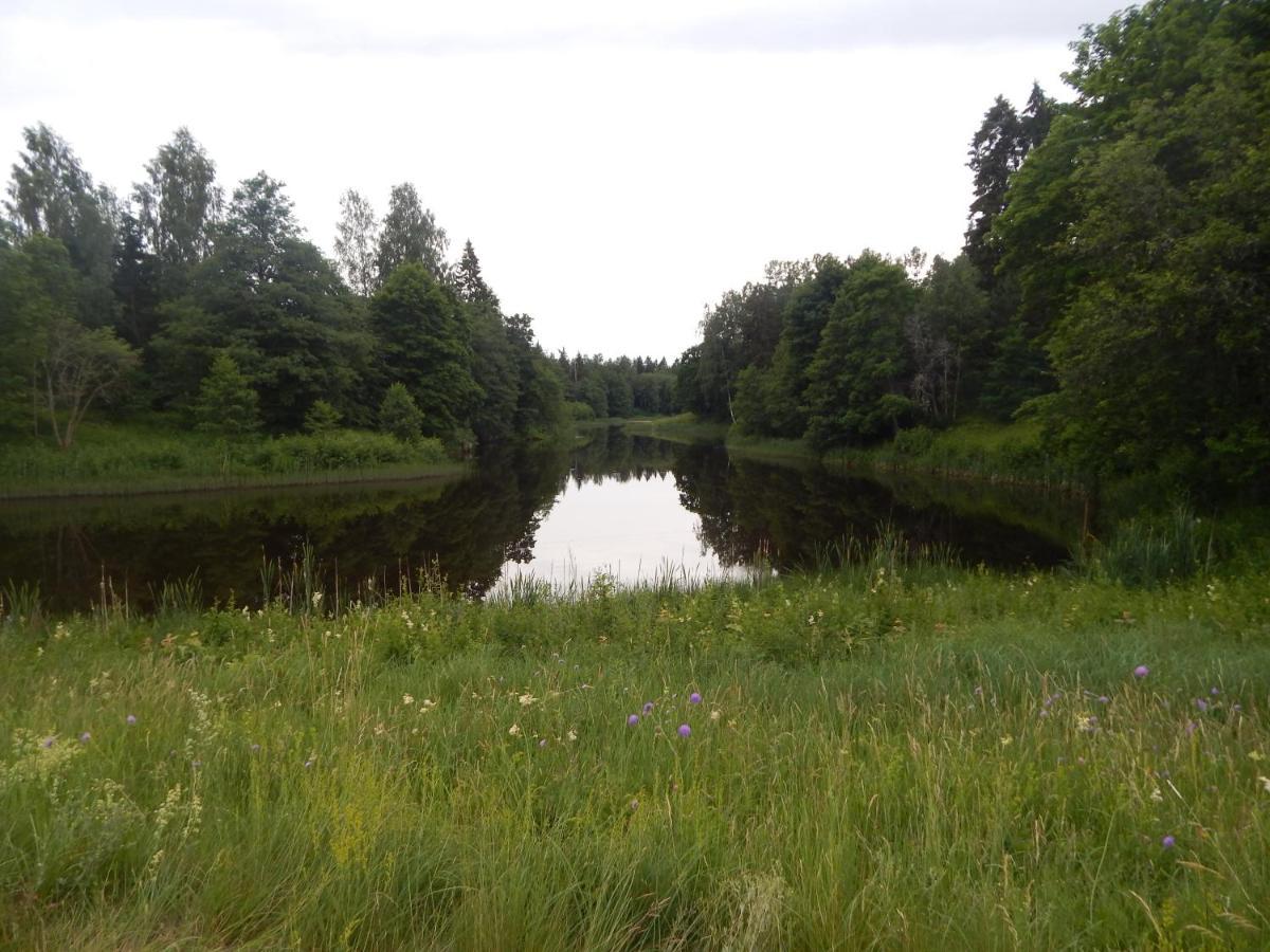 Haaviku Nature Cottage Tepelvalja Zewnętrze zdjęcie