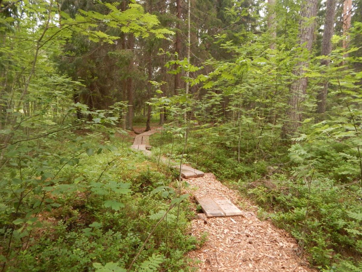 Haaviku Nature Cottage Tepelvalja Zewnętrze zdjęcie